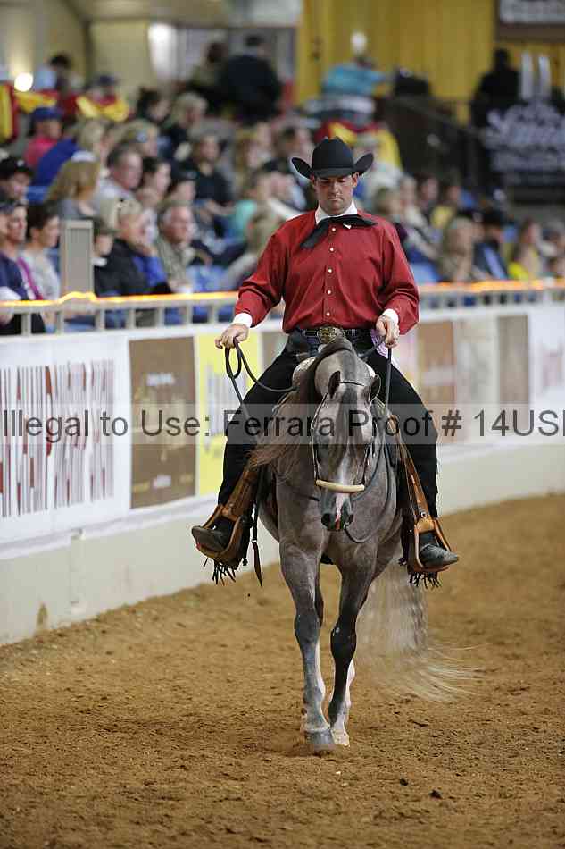 Proof 14usn_08027