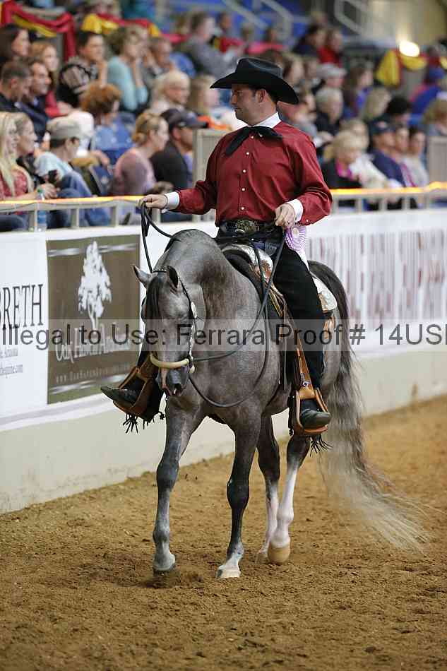 Proof 14usn_08029