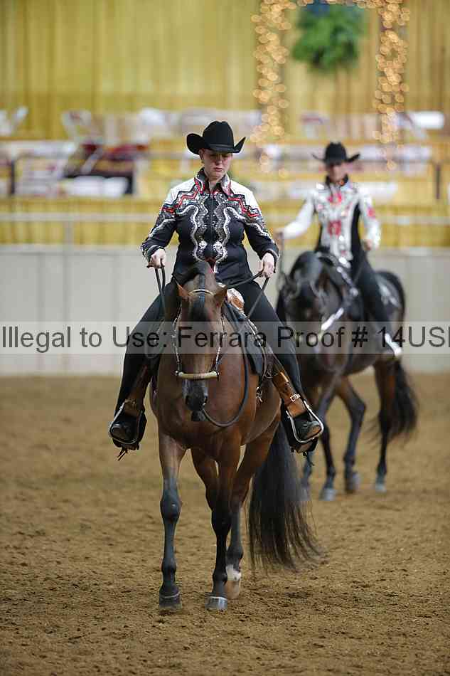 Proof 14usn_08078
