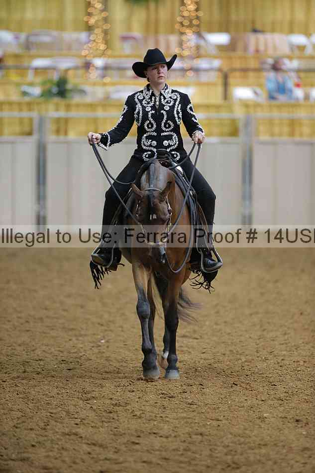 Proof 14usn_08095