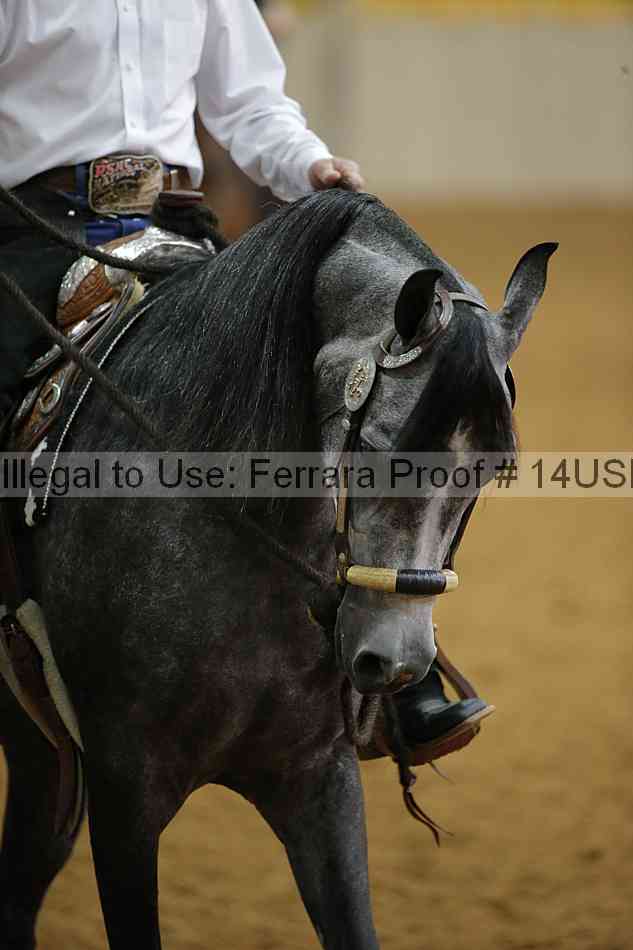 Proof 14usn_08097