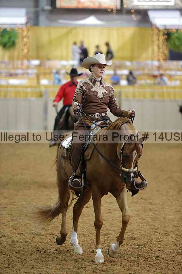 Proof 14usn_08099
