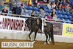14usn_08119 proof