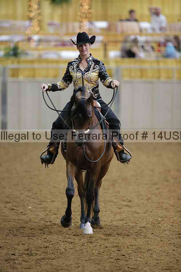 Proof 14usn_08131