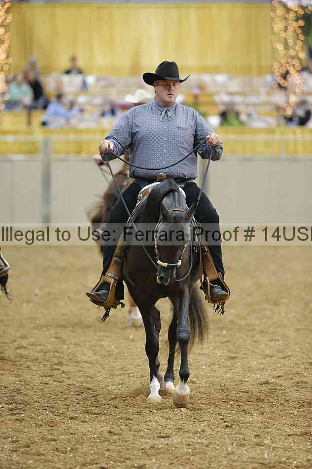 Proof 14usn_24803