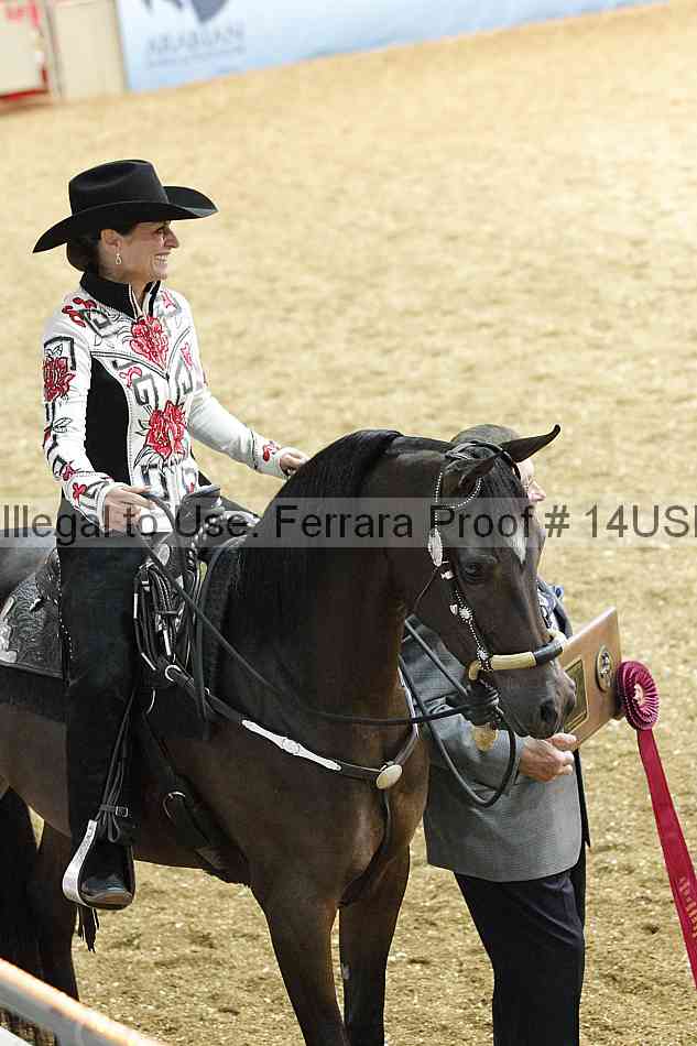 Proof 14usn_24849