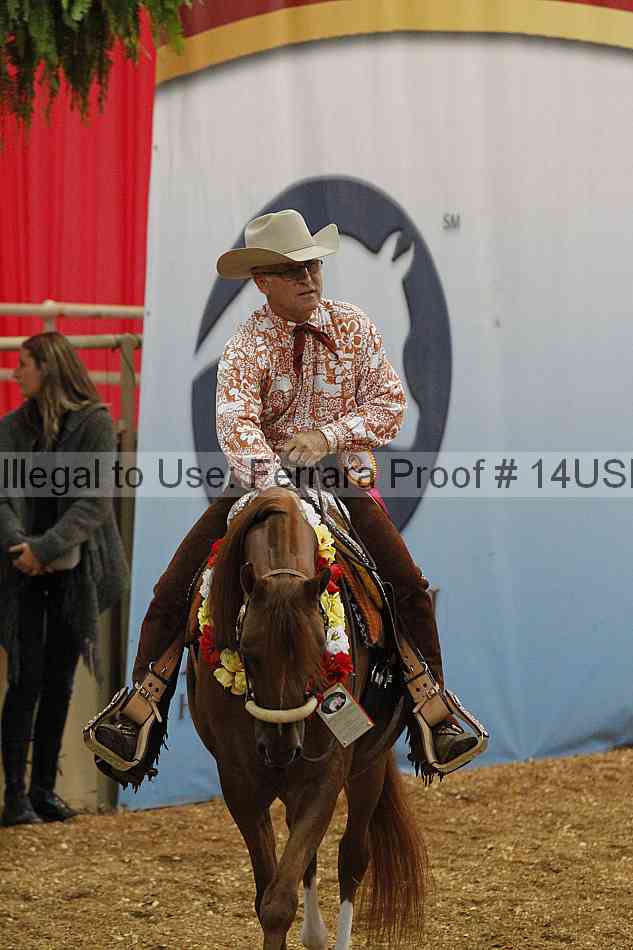 Proof 14usn_24868