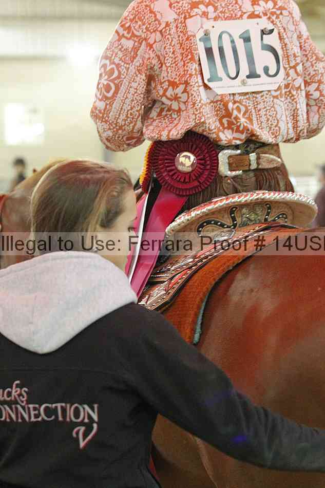 Proof 14usn_25011