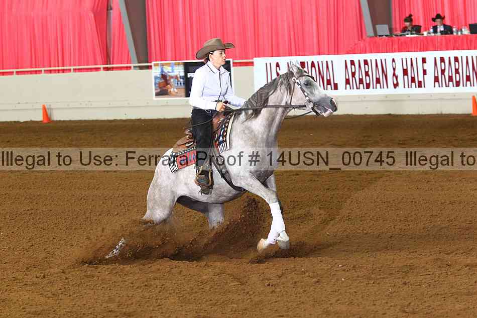 Proof 14usn_00745