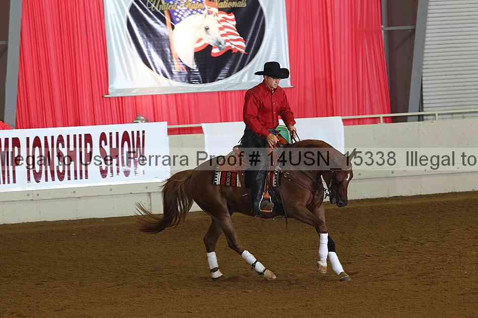 Proof 14usn_15338