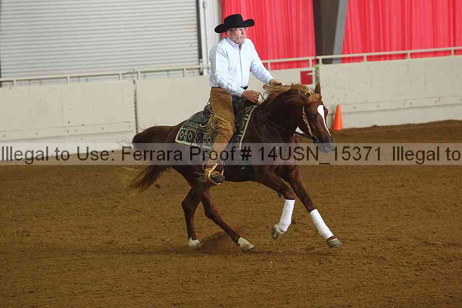 Proof 14usn_15371