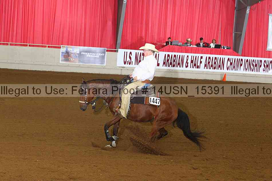 Proof 14usn_15391