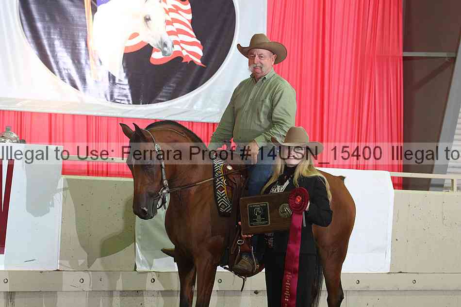 Proof 14usn_15400