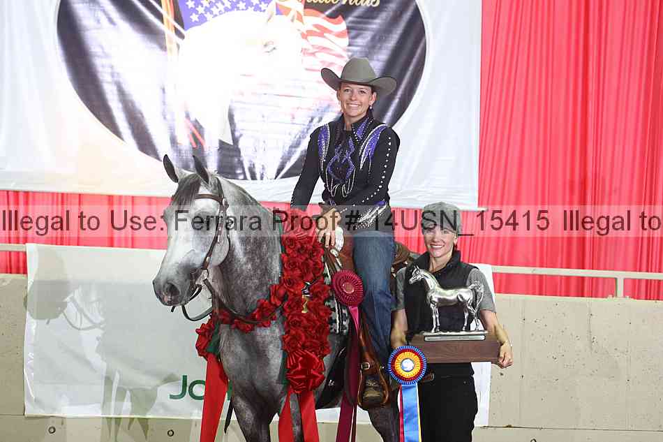 Proof 14usn_15415