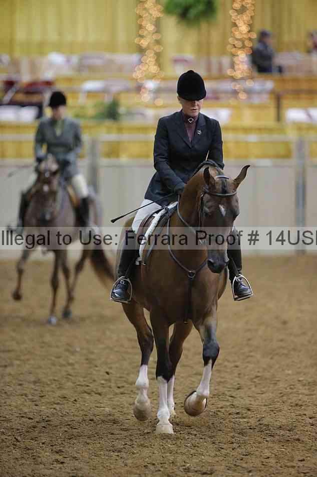 Proof 14usn_05837