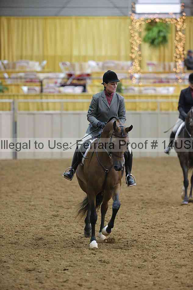 Proof 14usn_05840