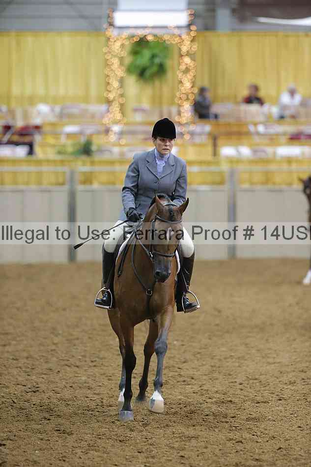 Proof 14usn_05847