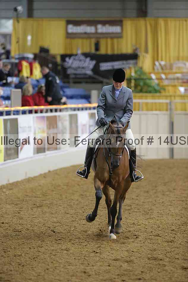 Proof 14usn_05865
