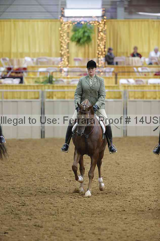 Proof 14usn_05872