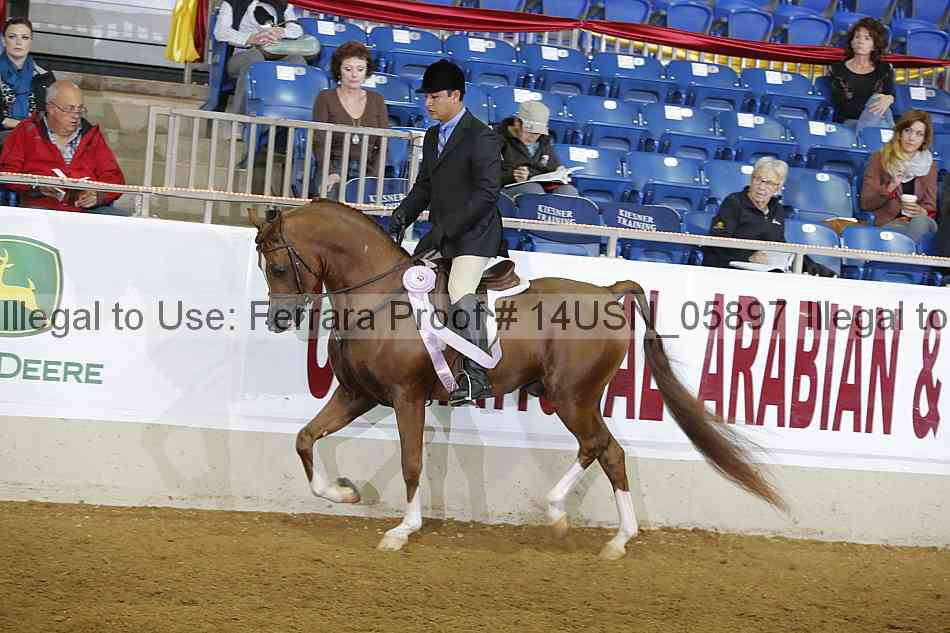 Proof 14usn_05897