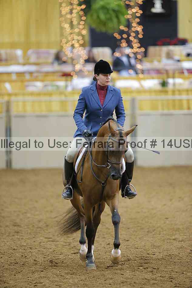 Proof 14usn_05930