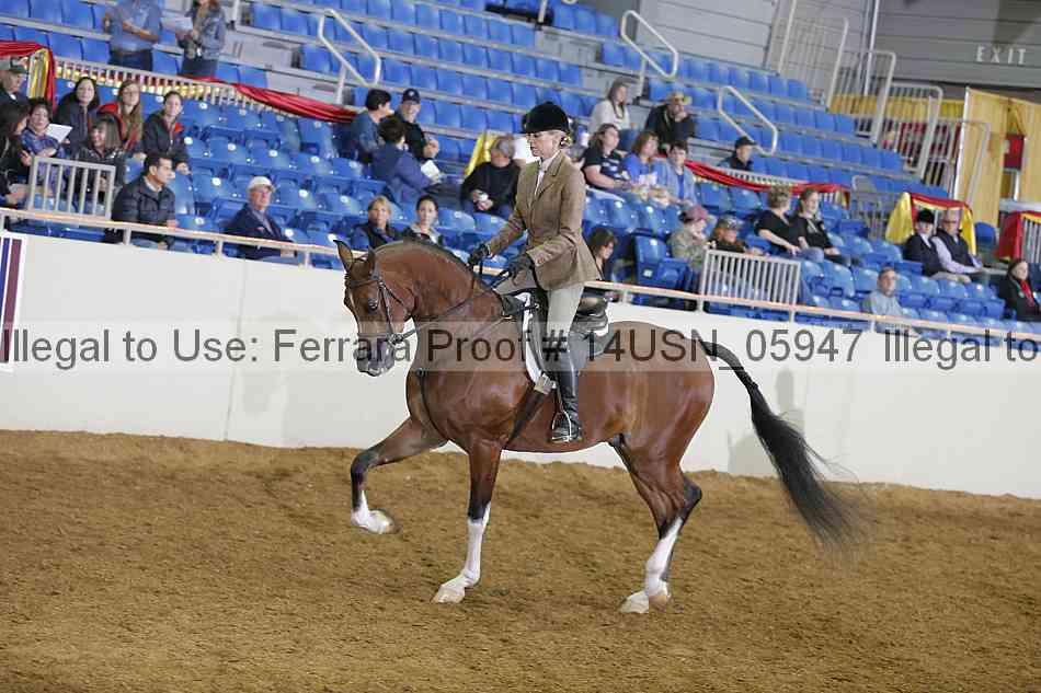 Proof 14usn_05947