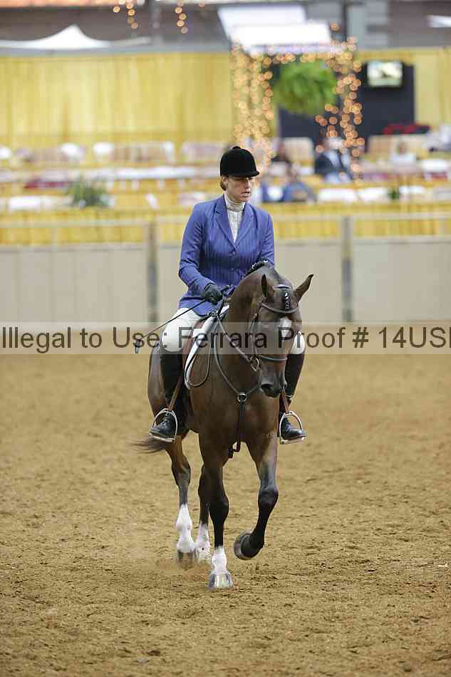 Proof 14usn_05951