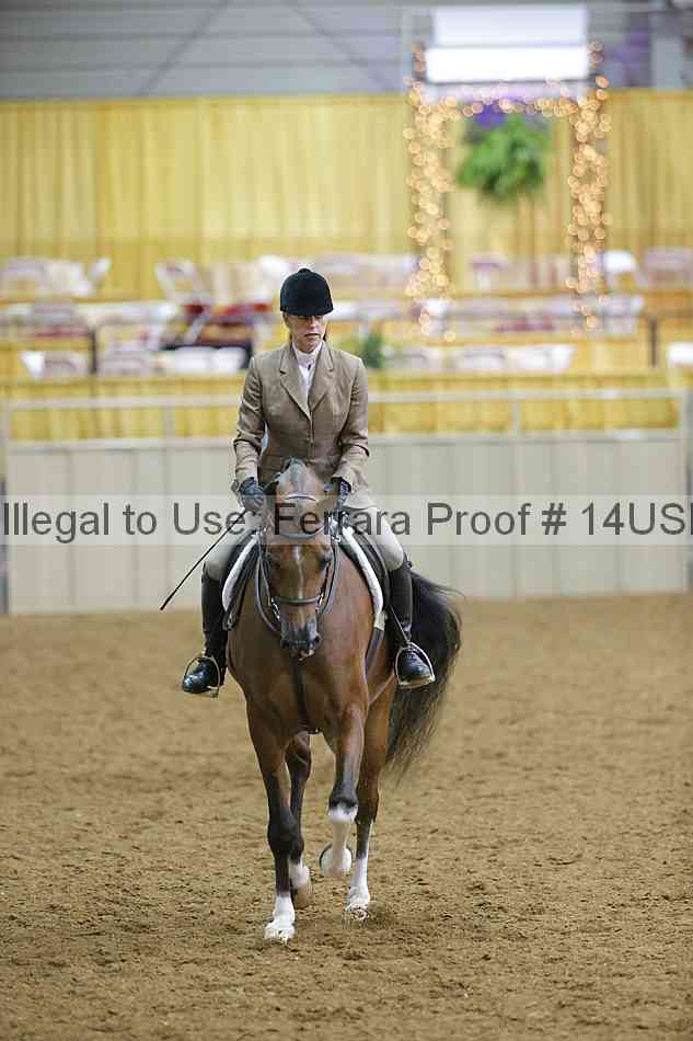 Proof 14usn_05956