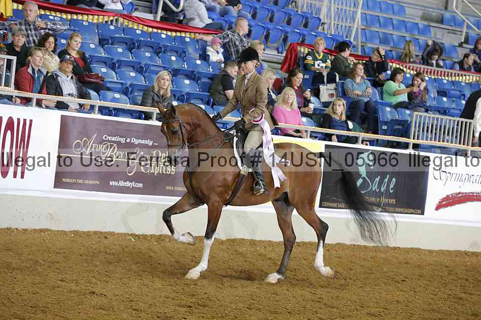 Proof 14usn_05966