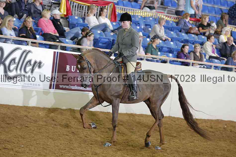 Proof 14usn_17028