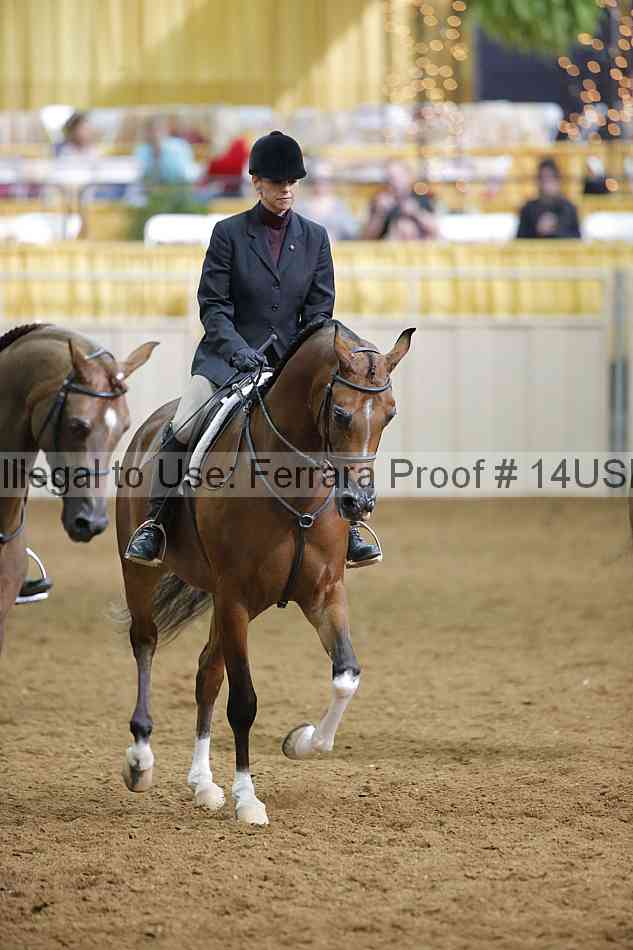 Proof 14usn_17034