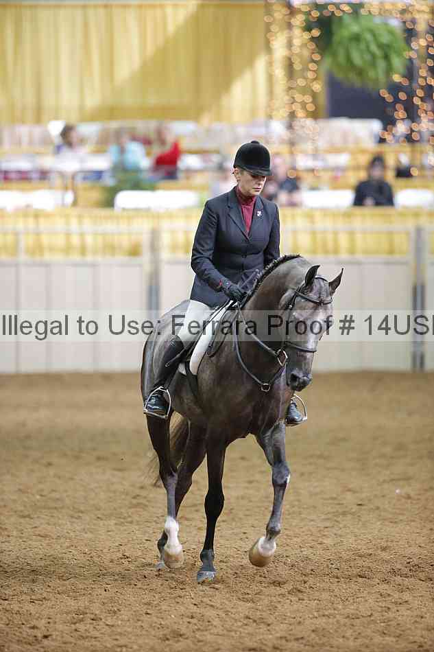 Proof 14usn_17041