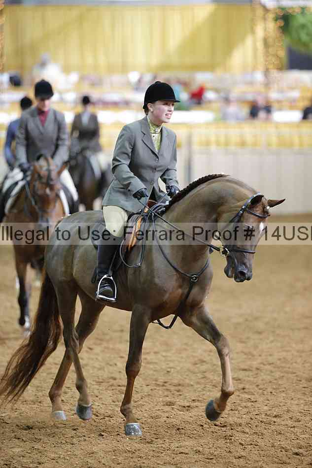 Proof 14usn_17050