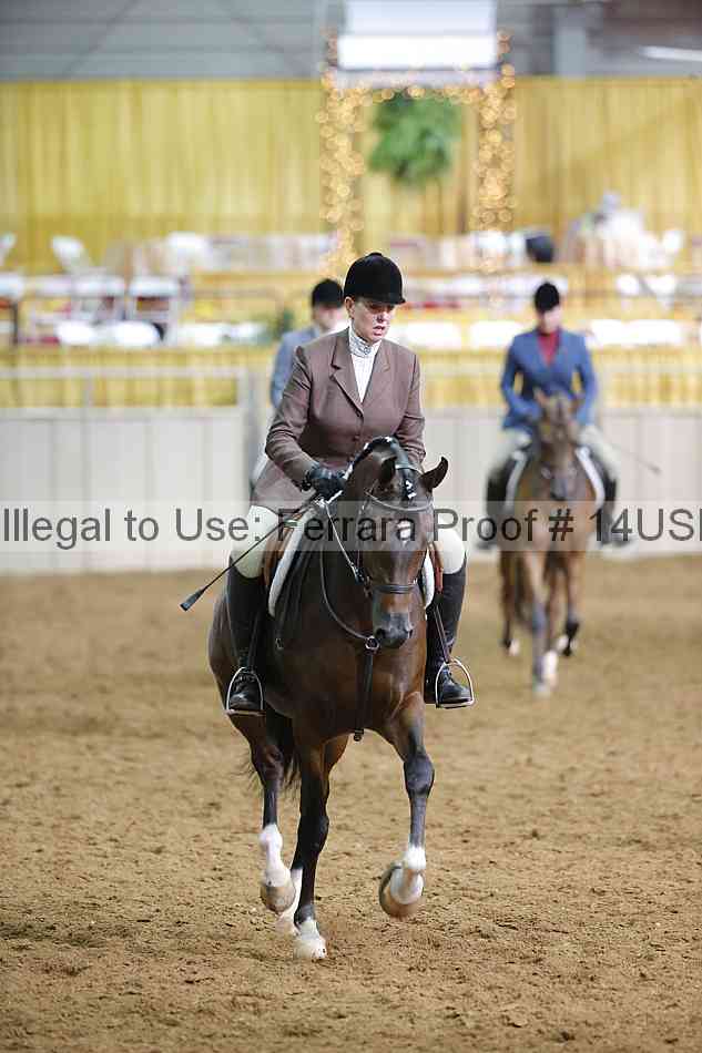 Proof 14usn_17055