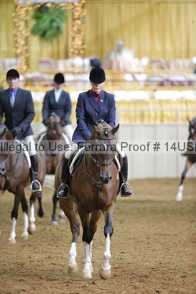 Proof 14usn_17059