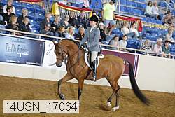 14usn_17064 proof