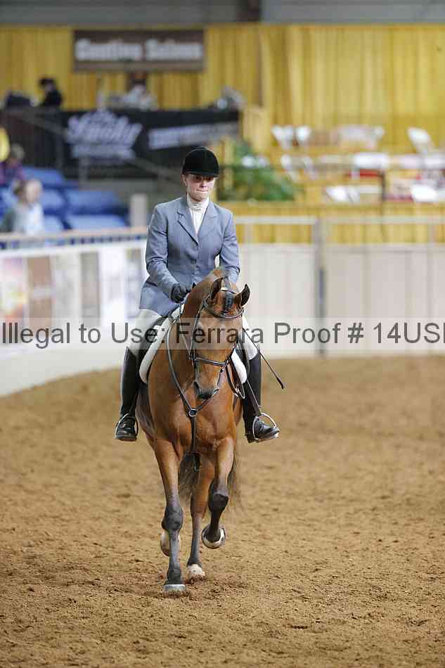 Proof 14usn_17069
