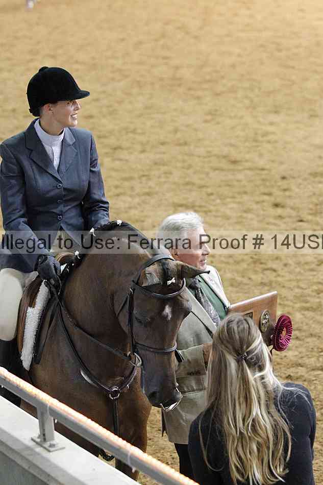 Proof 14usn_17085