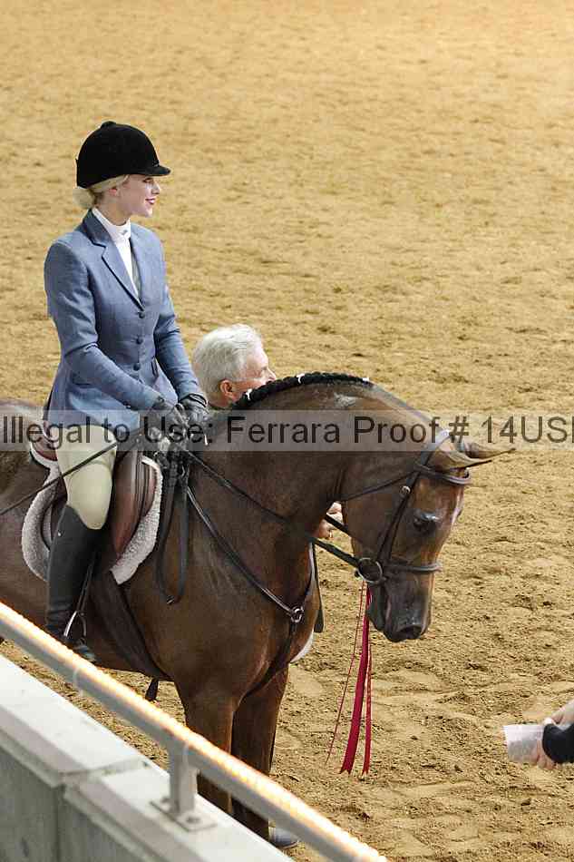 Proof 14usn_17093