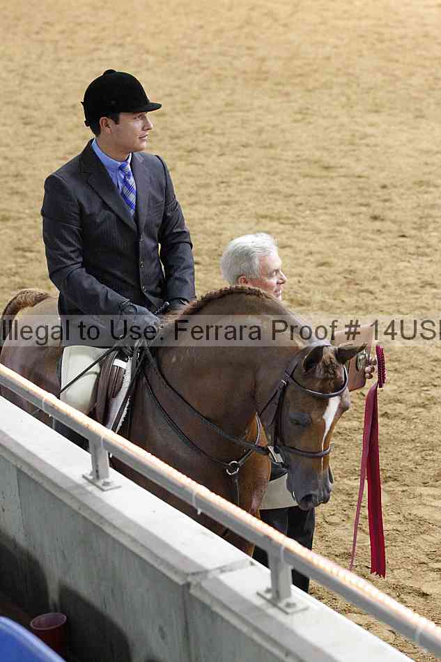 Proof 14usn_17101