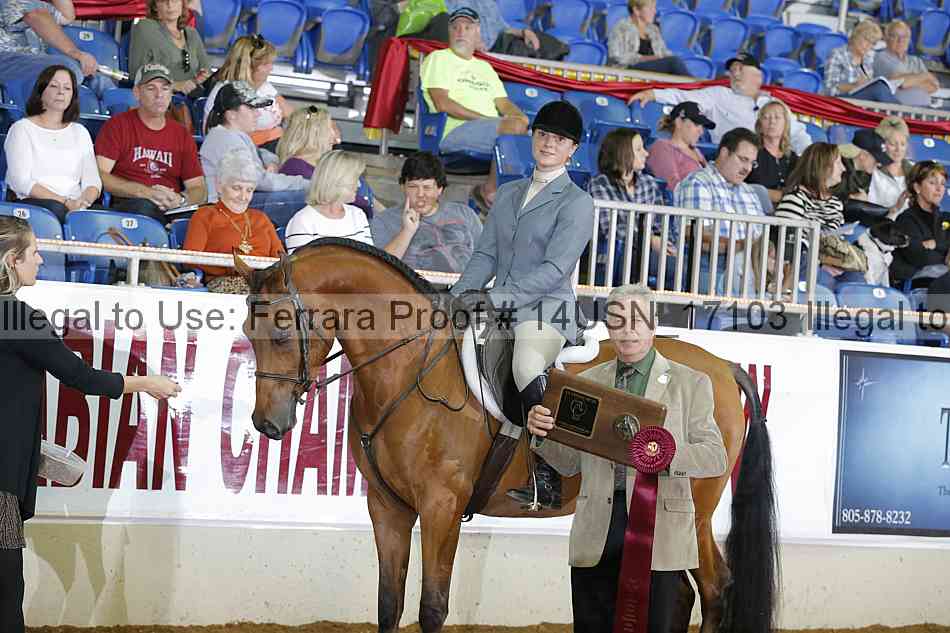 Proof 14usn_17103