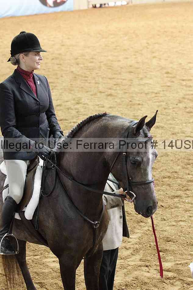 Proof 14usn_17116