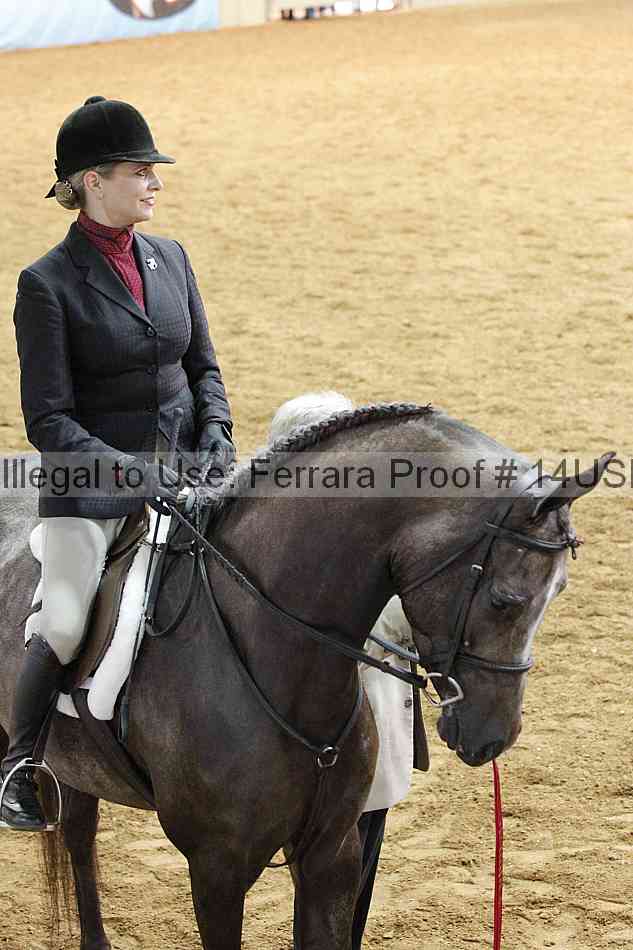 Proof 14usn_17117