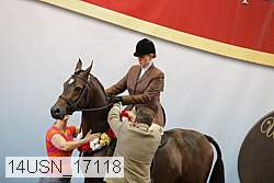 14usn_17118 proof