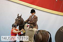 14usn_17119 proof