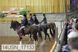14usn_17133 proof