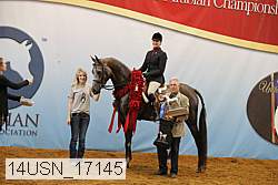 14usn_17145 proof