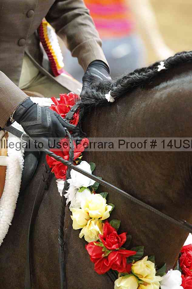 Proof 14usn_17147