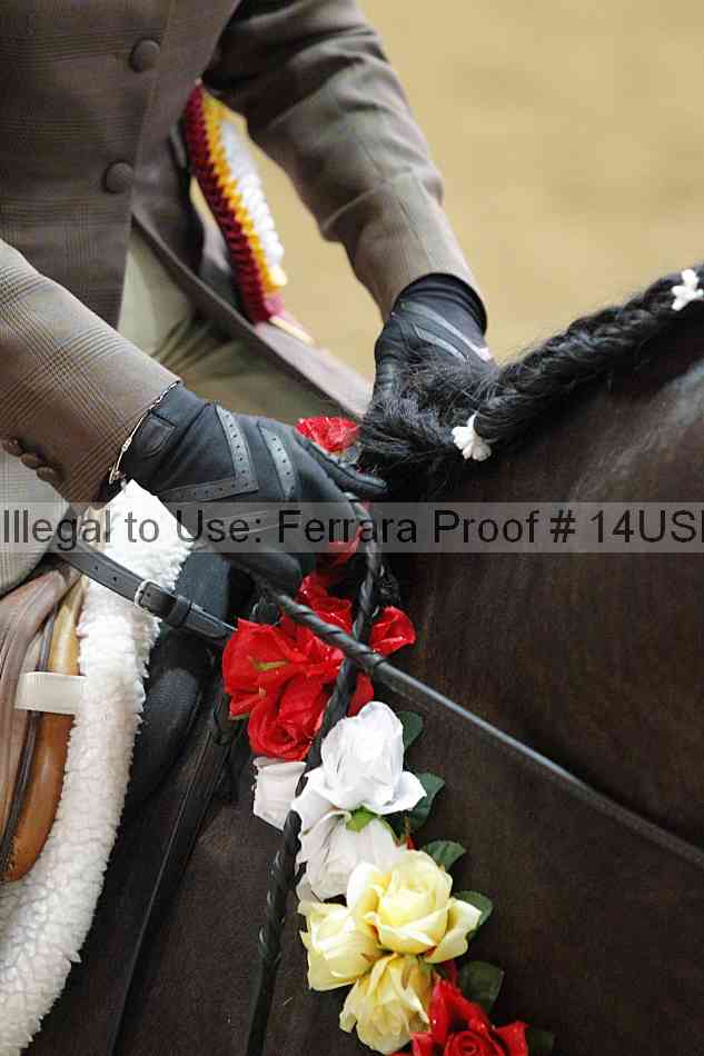Proof 14usn_17148