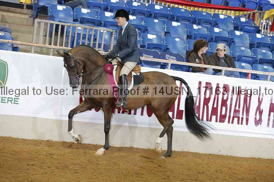 Proof 14usn_17163